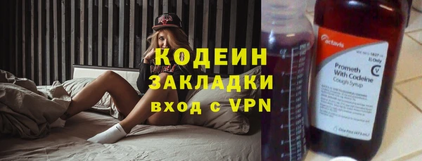 гидра Киренск